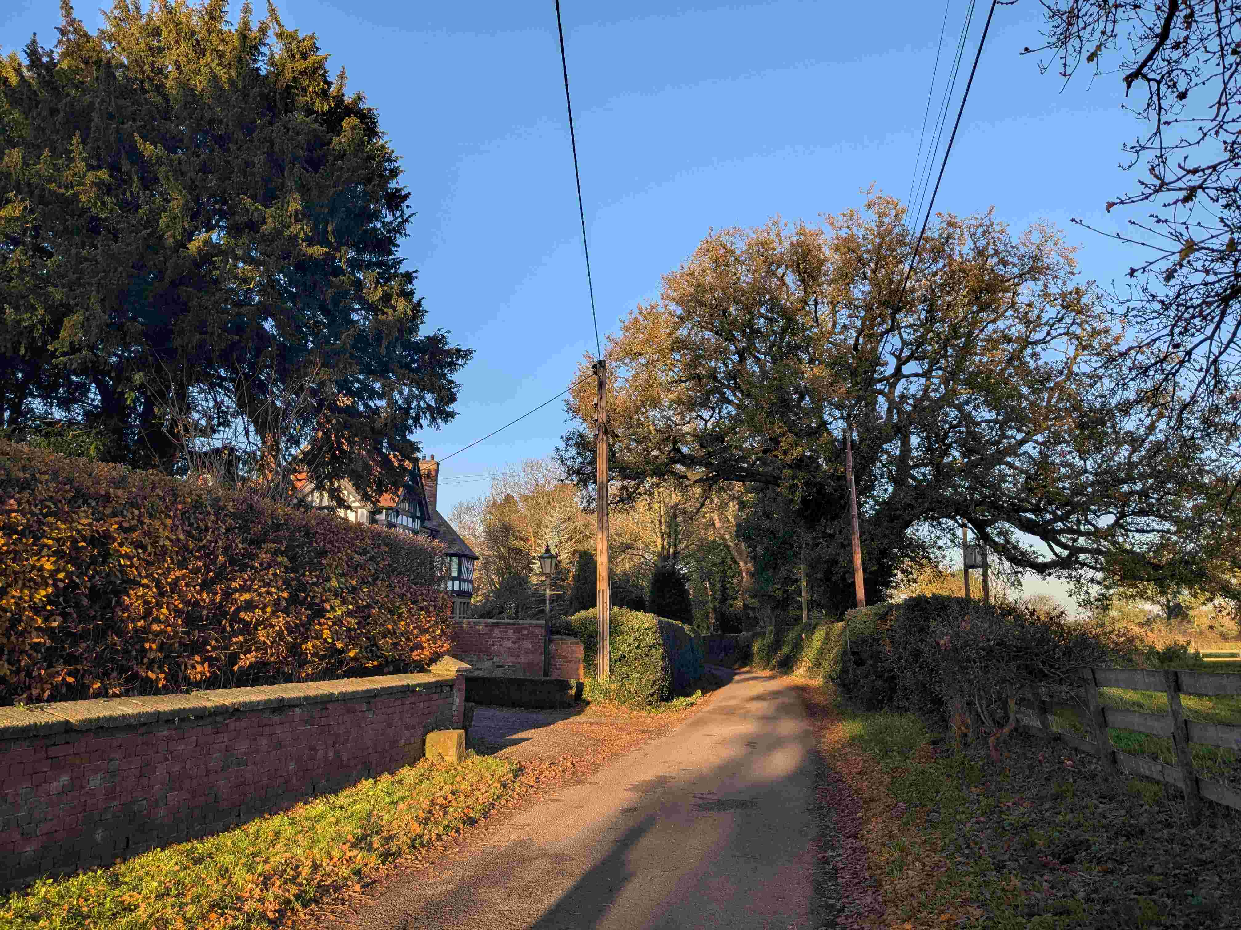 Hall Lane near Hankelow Court, November 2025